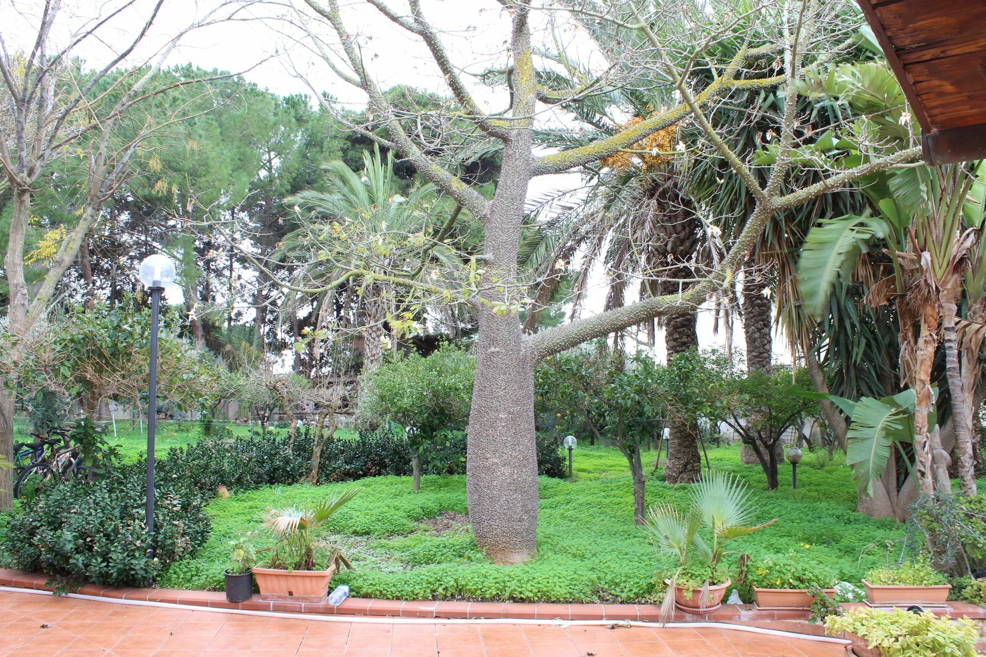 Villa Delle Nifee Mazara del Vallo Exterior photo